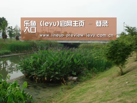 案例展示四(图1)