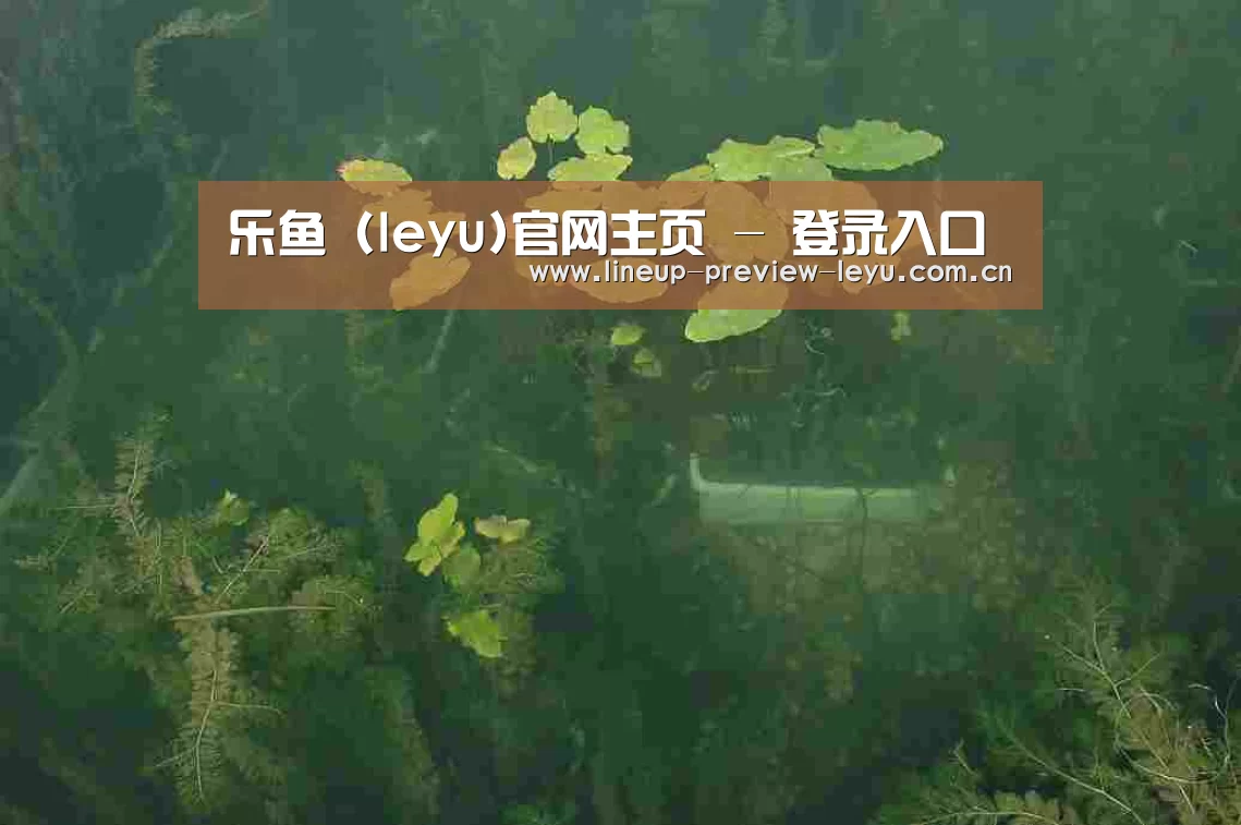 案例展示三(图1)