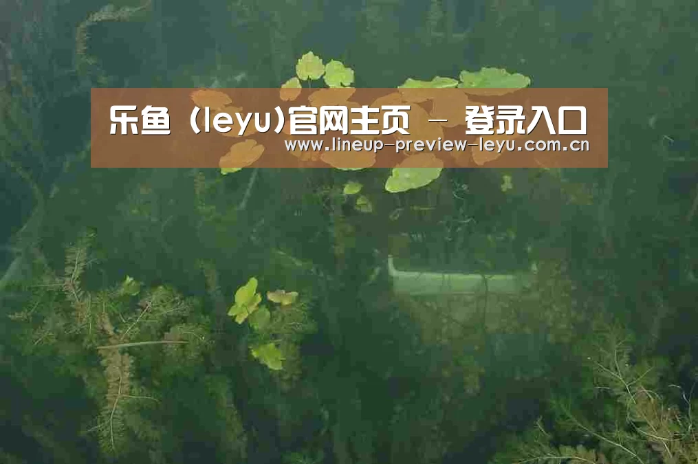 案例展示三