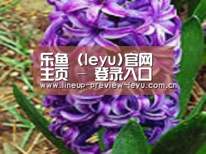 产品名称八