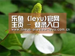 产品名称三