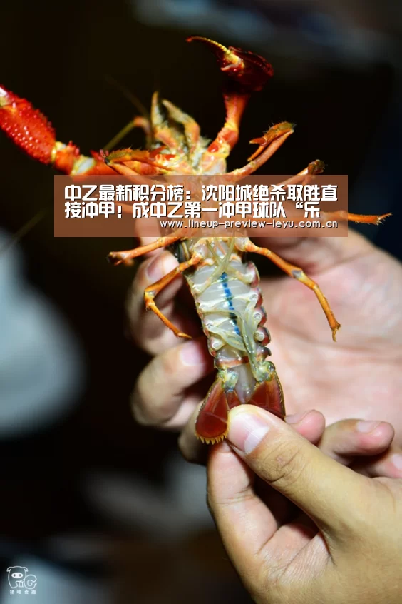 乐鱼官网